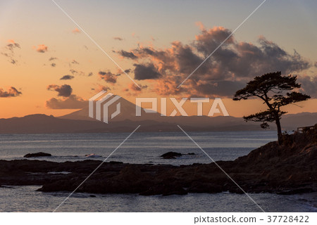 富士山日落視圖從Tateishi公園的 37728422