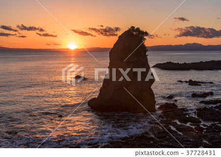 從Tateishi公園的晚上視圖 37728431