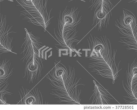Pavonine Feather peacock, bird seamless pattern 37728501