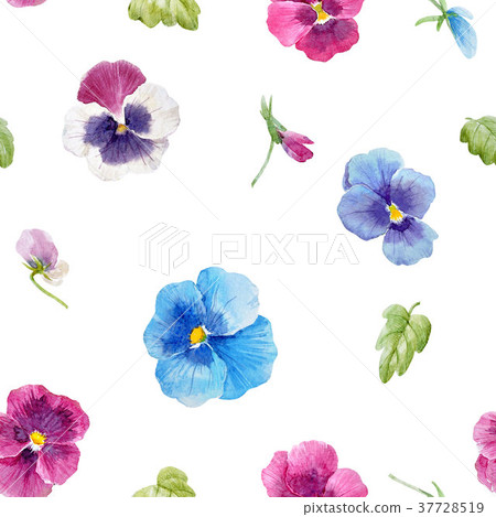 Watercolor pansy flower pattern Watercolor pansy flower pattern 37728519