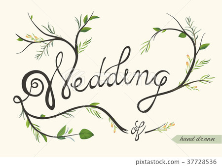 Wedding invite card hand drawn element  37728536