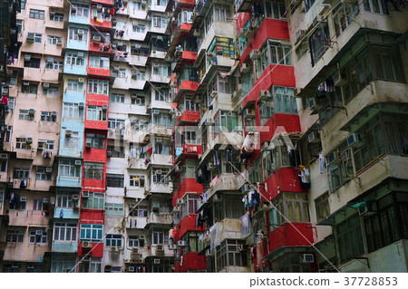 香港Mashou Daisuke 37728853