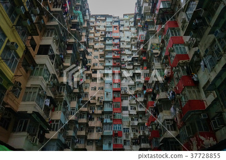 Hong Kong Mashou Daisuke Hong Kong Mashou Daisuke 37728855