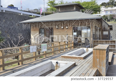 伊豆名取文化公園的足浴 伊豆名取文化公園的足浴 37729557