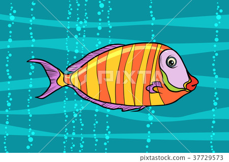 cichlid aquarium fish 37729573