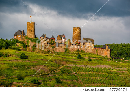 Thurant Castle and vineyards Thurant Castle and vineyards 37729974