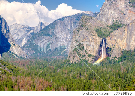 Yosemite National Park Valley summer landscape 37729980