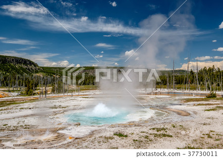 Hot thermal spring in Yellowstone 37730011