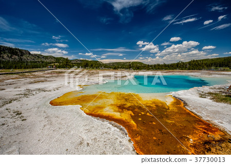 Hot thermal spring in Yellowstone Hot thermal spring in Yellowstone 37730013