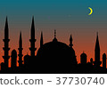 silhouette of the medieval city 37730740