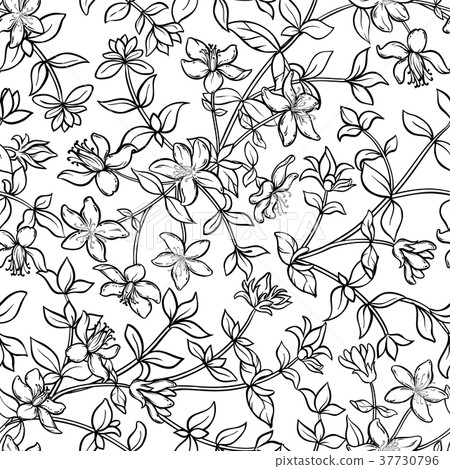tutsan seamless pattern tutsan seamless pattern 37730796