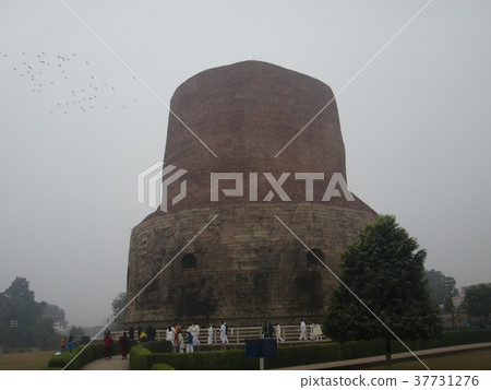 Damek Tower of Sarnath, India Damek Tower of Sarnath, India 37731276