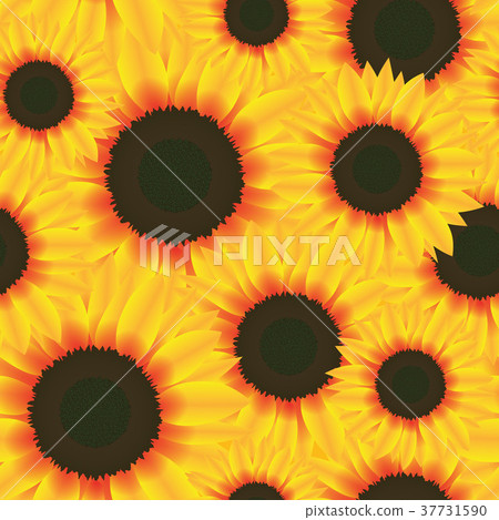 Illustration Vector Seamless Pattern Sunflower - Stock Illustration ...