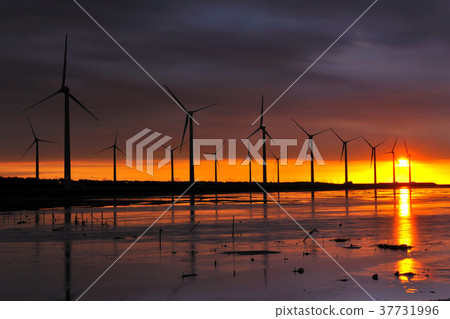 臺灣,臺中,高美濕地,風力發電,風車,能源,綠色能源,電力,落日,黃昏,夕陽,海岸,沙洲,海灘 臺灣,臺中,高美濕地,風力發電,風車,能源,綠色能源,電力,落日,黃昏,夕陽,海岸,沙洲,海灘 37731996