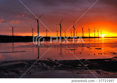 臺灣,臺中,高美濕地,風力發電,風車,能源,綠色能源,電力,落日,黃昏,夕陽,海岸,沙洲,海灘 臺灣,臺中,高美濕地,風力發電,風車,能源,綠色能源,電力,落日,黃昏,夕陽,海岸,沙洲,海灘 37731997