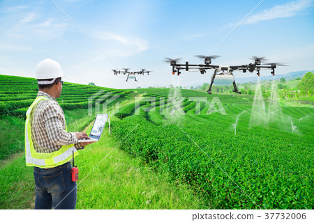 Farmer control agriculture drone on tea field  37732006