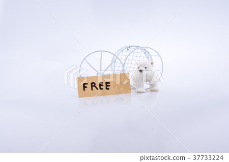 Polar bear cage open to freedom Polar bear cage open to freedom 37733224