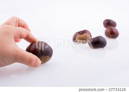 Fresh chestnuts in hand Fresh chestnuts in hand 37733226