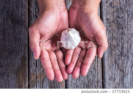 Man holding garlic cloves in his hands 37733623