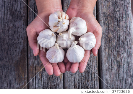 Man holding garlic cloves in his hands 37733626
