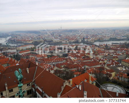 布拉格城市景觀[捷克共和國] 37733744