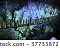 Oonochi山谷的冰柱 37733872