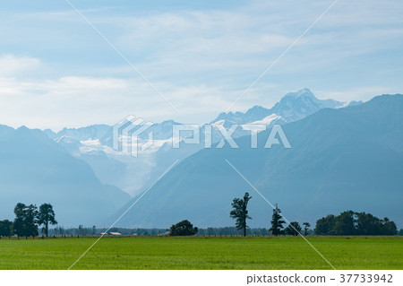Fox glacial New Zealand natural landscape Fox glacial New Zealand natural landscape 37733942