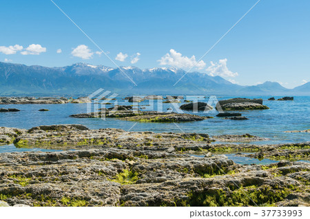 Kaikoura rocky beach with mountain 37733993