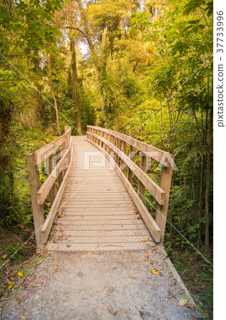 Wooden boardwalk in tropical forest 37733996
