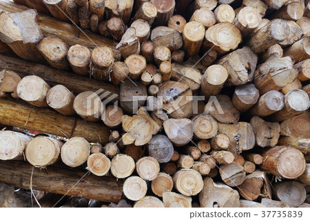 Wood, log (For example, forestry image is also acceptable) 37735839