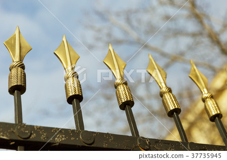 Golden spears on the fence 37735945