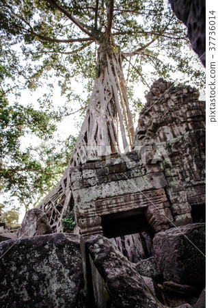 021-Angkor Wat _ Cambodia _ YOURE YES 37736014