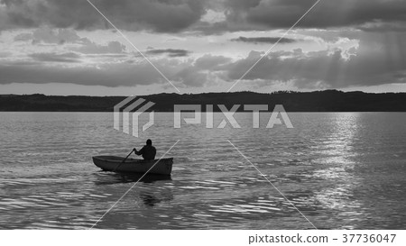 A man rowing at sunset in the harbour of Ebeltoft. A man rowing at sunset in the harbour of Ebeltoft. 37736047
