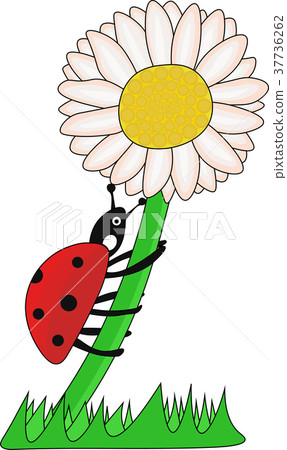 Illustration Ladybird climbing on the Flower 37736262