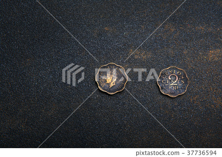 Old Gold Coin Asphalt sharped texture  37736594