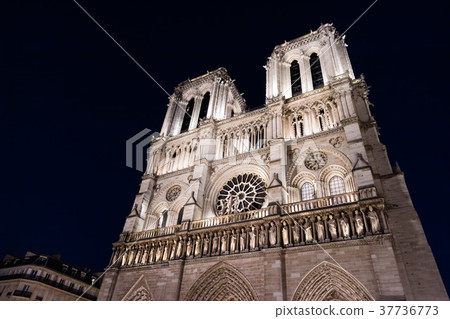 Notre Dame de Paris in night time 37736773