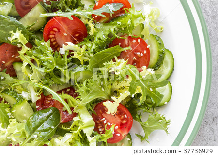 Healthy vegetable salad Healthy vegetable salad 37736929