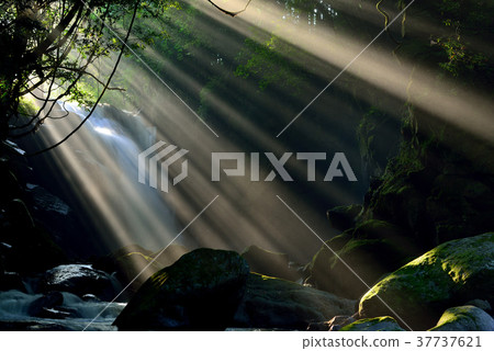 Couple's waterfall 37737621