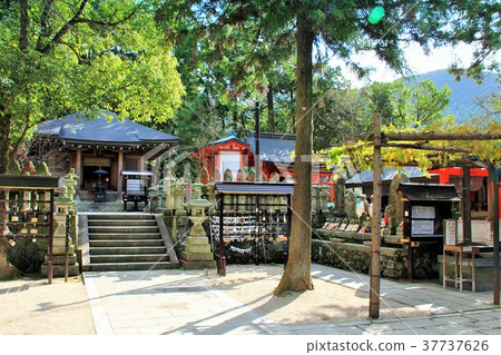 Daishido of Emeizan Kannon Temple (Amaguri-cho) 37737626