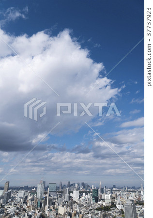 Tokyo scenery Shibuya Shinjuku Big cloud Tokyo scenery Shibuya Shinjuku Big cloud 37737923