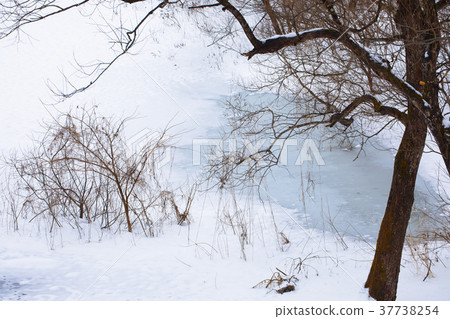 Gosho湖和總凍結的水邊雪場面 37738254