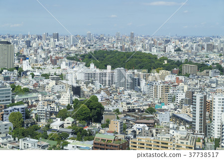 Tokyo landscape Sugamo Komagome Tabata direction 37738517