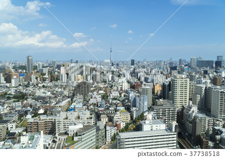 Tokyo Sky Tree and Townscape 37738518