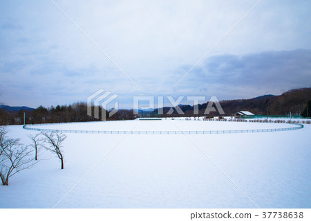 Gosho Ohashi運輸體育場的雪景 37738638
