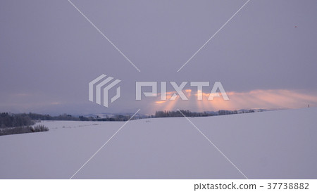北海道美瑛雪原的黎明 37738882