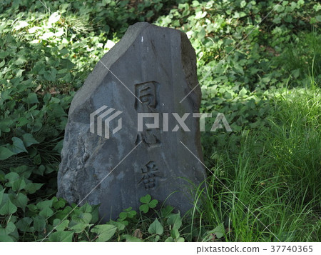 江戶城堡的交匯點 37740365
