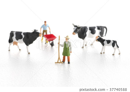 dairy dairy 37740588