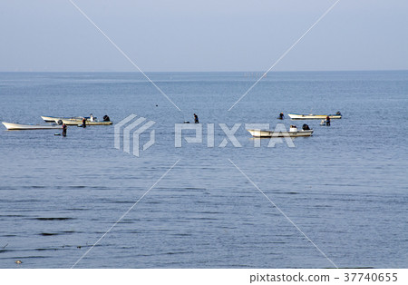 Scenery of shellfish fishing Scenery of shellfish fishing 37740655