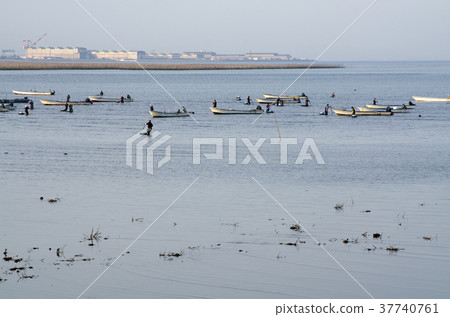 Scenery of shellfish fishing Scenery of shellfish fishing 37740761