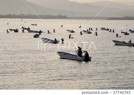 貝類捕魚的風景 貝類捕魚的風景 37740765